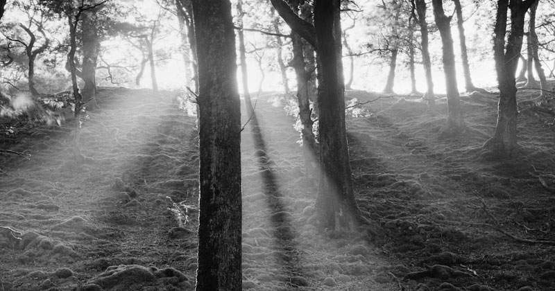 Ron Rosenstock, Sunset at Sheeffrey, Co. Mayo, Ireland, 1986 - The Culturium