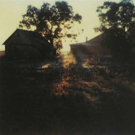 Andrei Tarkovsky, Instant Light - The Culturium