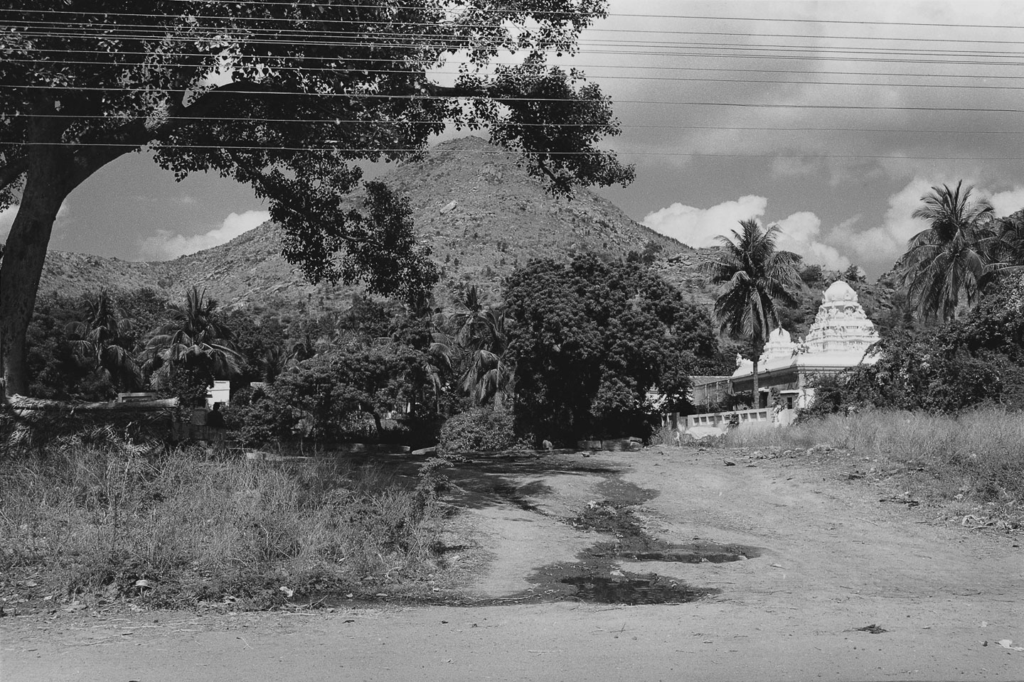 Ditmar Bollaert, Arunachala Pradakshina - The Culturium