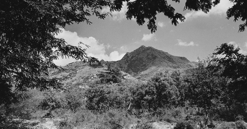 Ditmar Bollaert, Arunachala Pradakshina - The Culturium