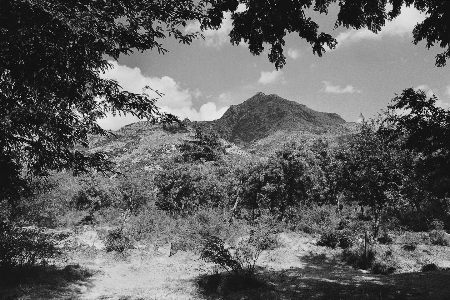 Ditmar Bollaert, Arunachala Pradakshina - The Culturium