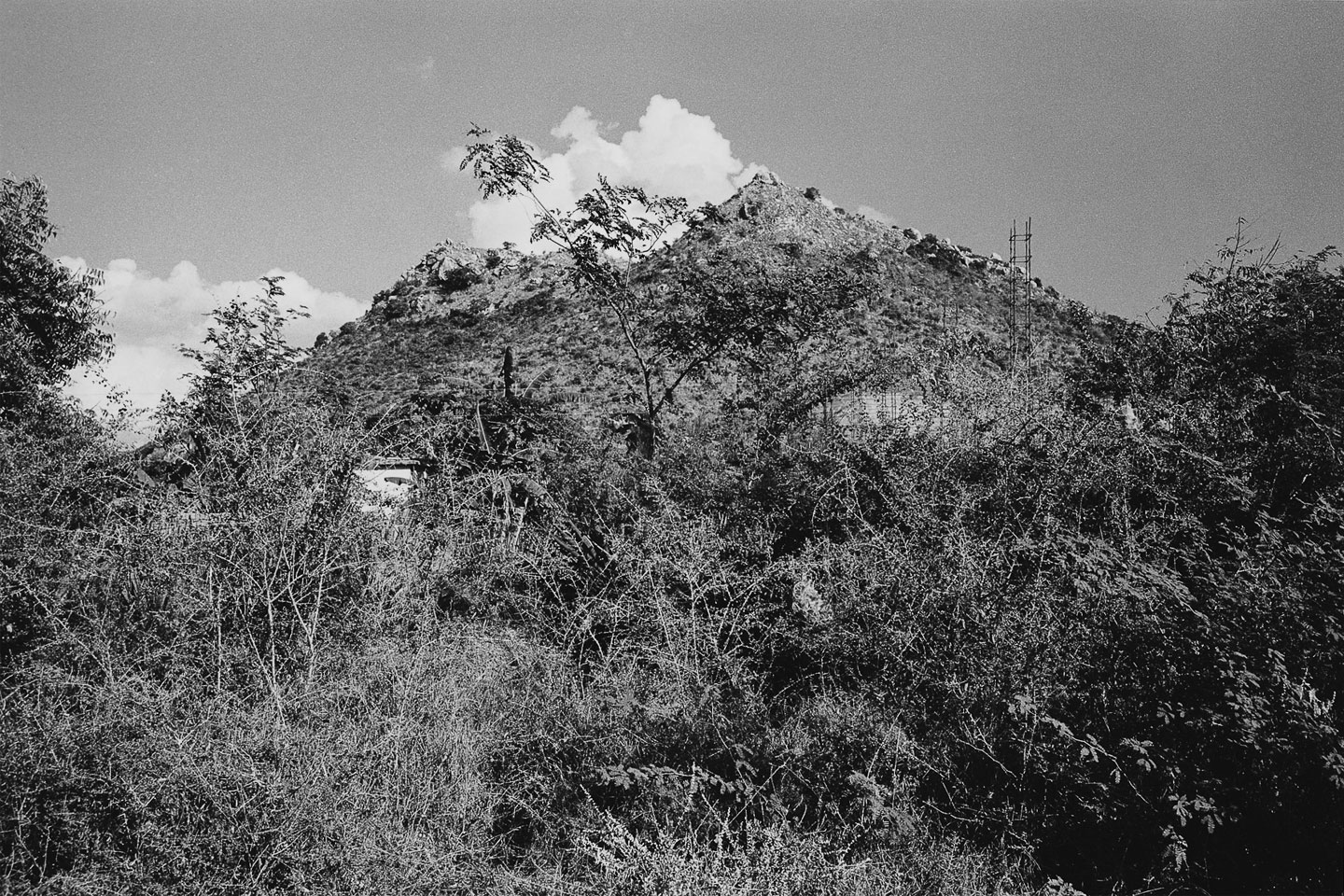 Ditmar Bollaert, Arunachala Pradakshina - The Culturium