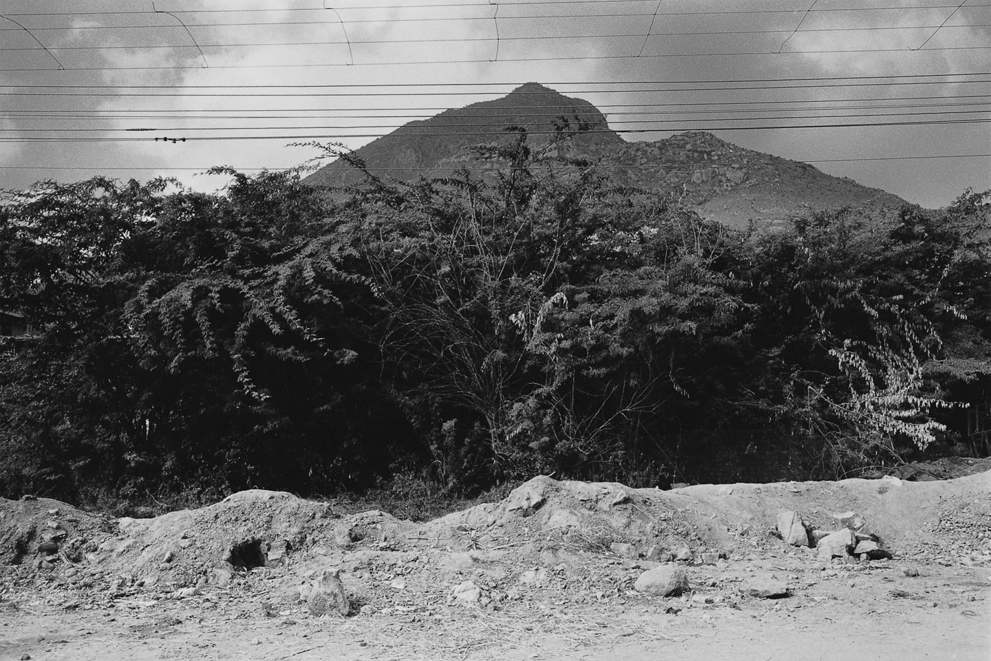 Ditmar Bollaert, Arunachala Pradakshina - The Culturium