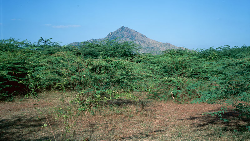 Ditmar Bollaert, Annamalai Nagar - The Culturium