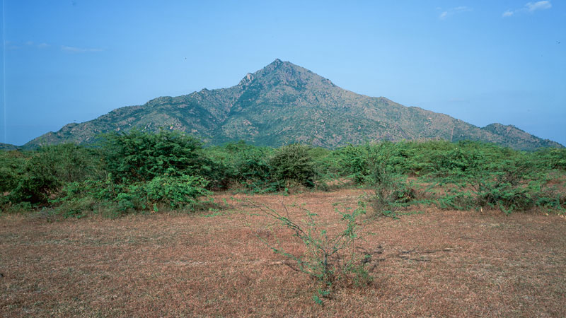 Ditmar Bollaert, Annamalai Nagar - The Culturium