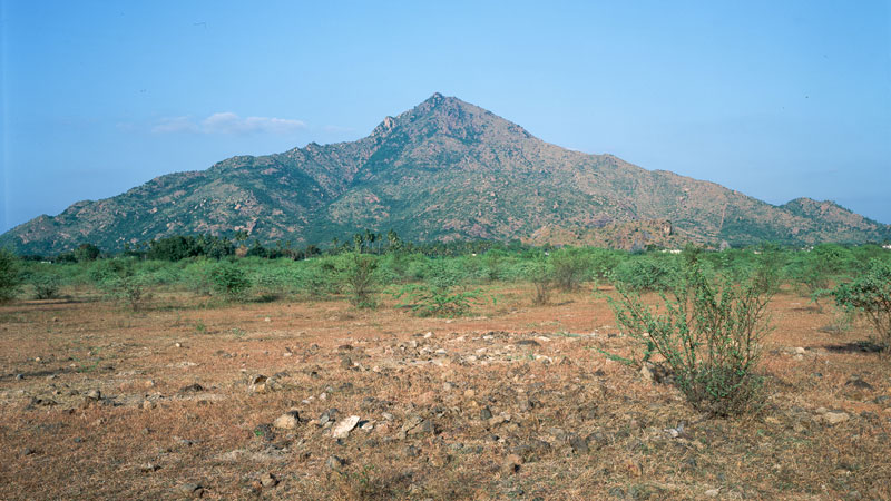 Ditmar Bollaert, Annamalai Nagar - The Culturium