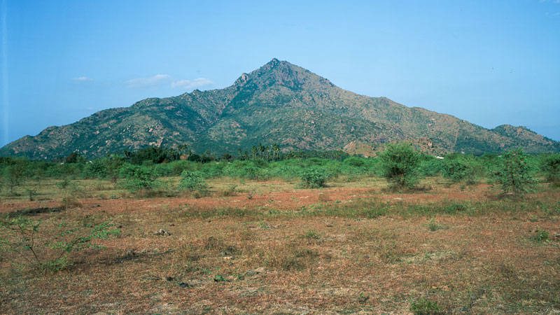 Ditmar Bollaert, Annamalai Nagar - The Culturium