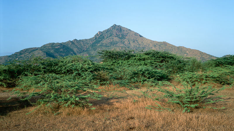 Ditmar Bollaert, Annamalai Nagar - The Culturium