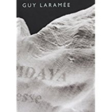 Guy Laramée, Fraîcheur - The Culturium