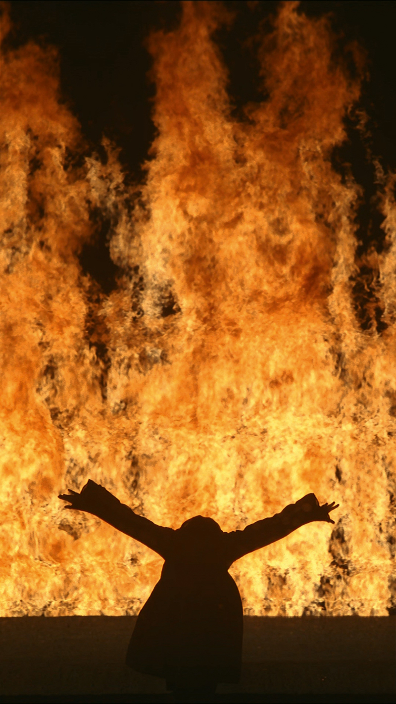 Bill Viola, Fire Woman, 2005 - The Culturium