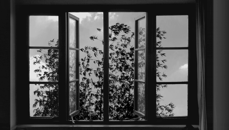 Abbas Kiarostami, 24 Frames - The Culturium