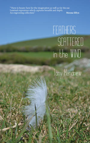 Tony Kendrew, Feathers Scattered in the Wind - Tony Kendrew