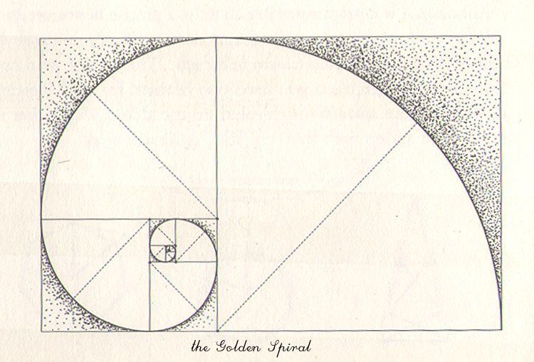 Golden Spiral - The Culturium