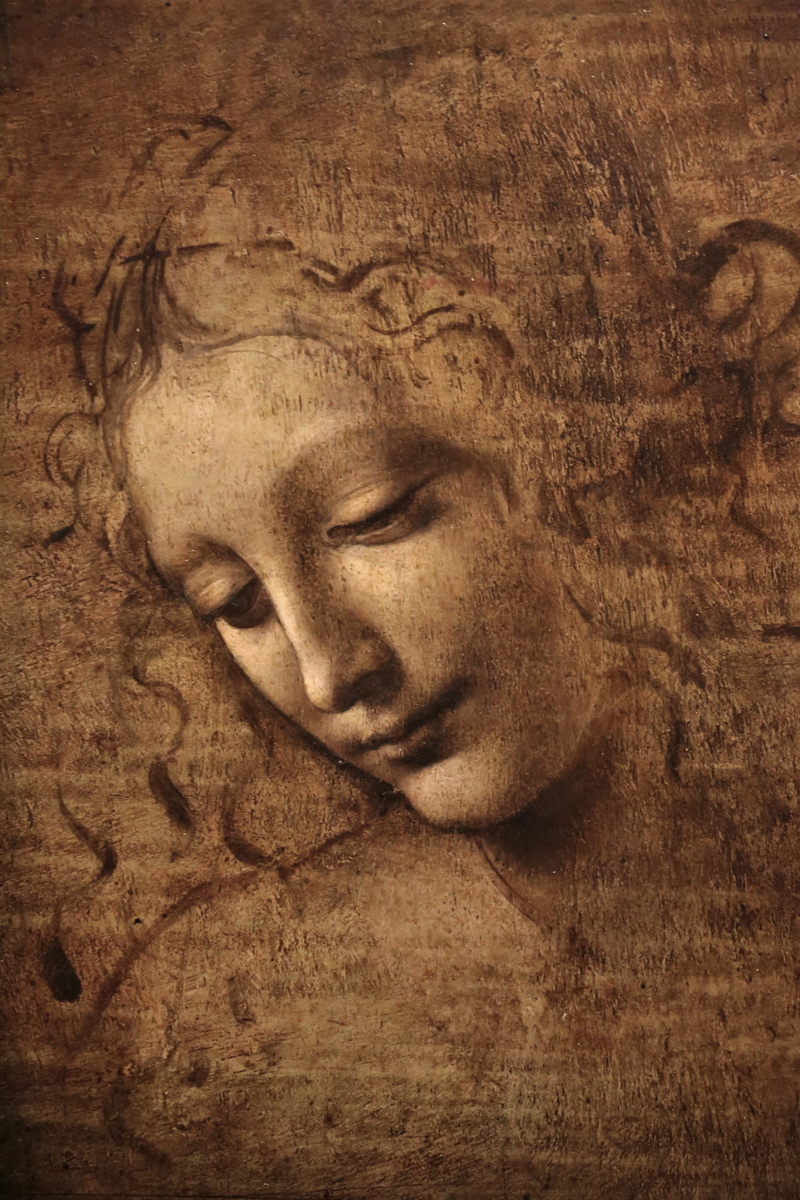 Leonardo da Vinci, La Scapigliata - The Culturium