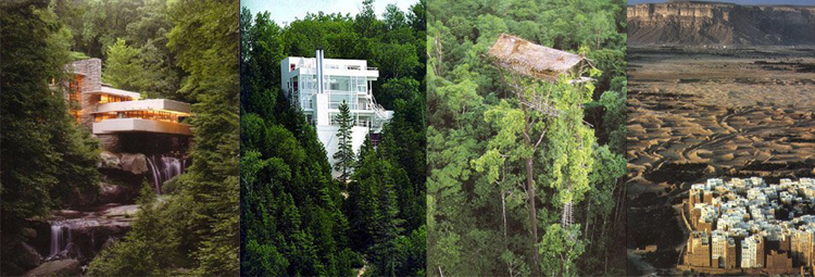 Tree, House, Desert, City - The Culturium