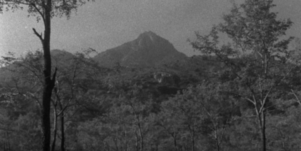 Paula Marvelly, Arunachala, India - The Culturium