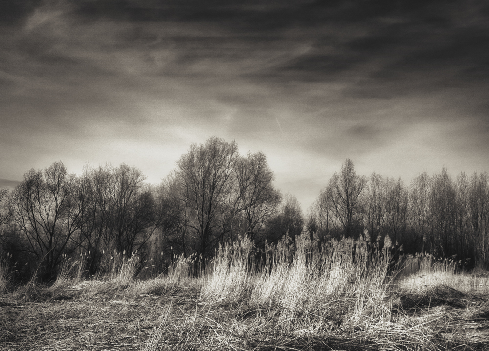 John Deviit, Dutch Polder Landscape (2) - The Culturium