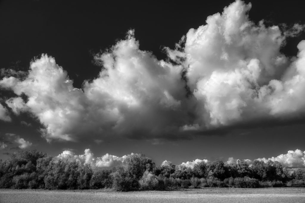 John Deviit, Dutch Polder Landscape - The Culturium